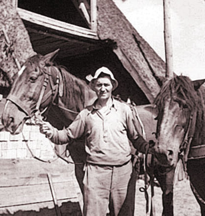 Opa Karl und seine Pferde